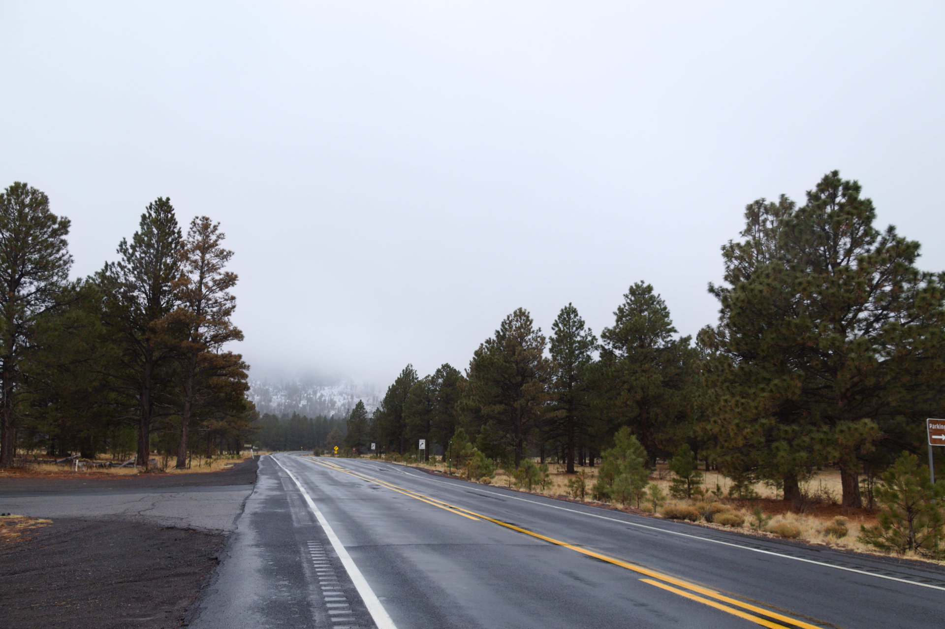 2025 Winter trip